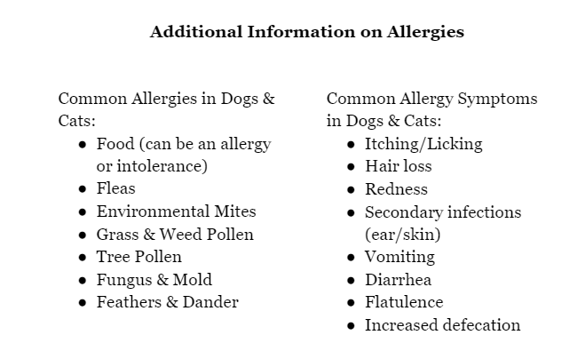 Additional Information on Allergies