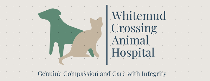 About Whitemud Crossing Animal Hospital | Edmonton, AB, Canada